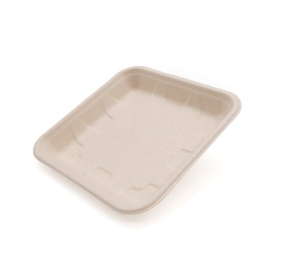 Bagasse Trays