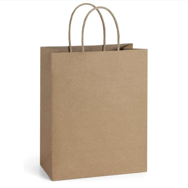 Paper Delivery Bags