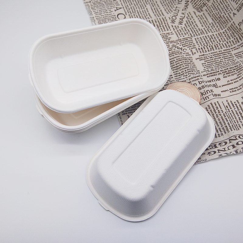 Bagasse Food Containers