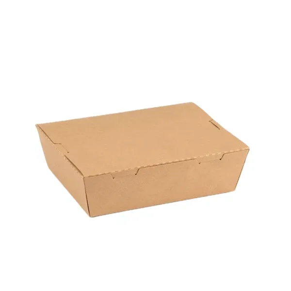 Hinged Lid Take-Out Boxes