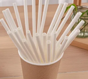 Plastic-free paper straws