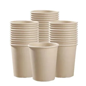 aqueous bamboo paper cups