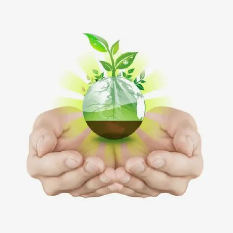 compostable paper cups