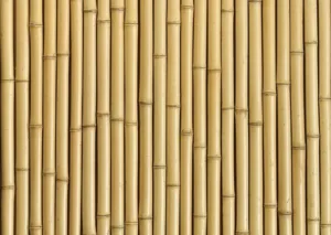 Bamboo Pulp Paper Cups: Shorter Lead Times and Stable Pricing