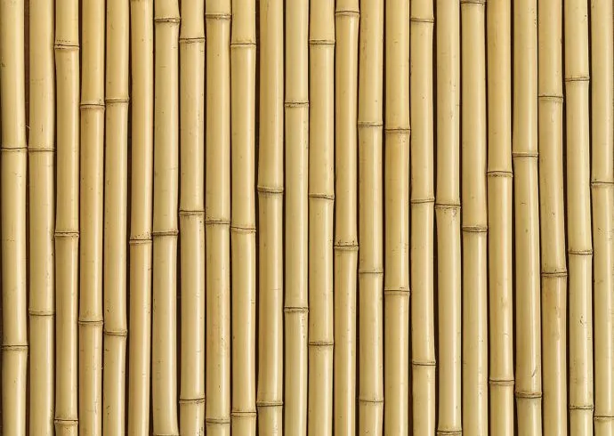 Bamboo Pulp Paper Cups: Shorter Lead Times and Stable Pricing