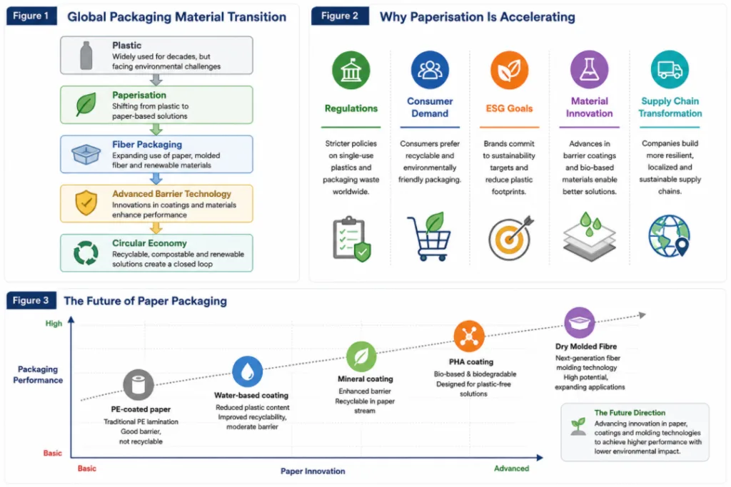 Why Paperisation Is Accelerating